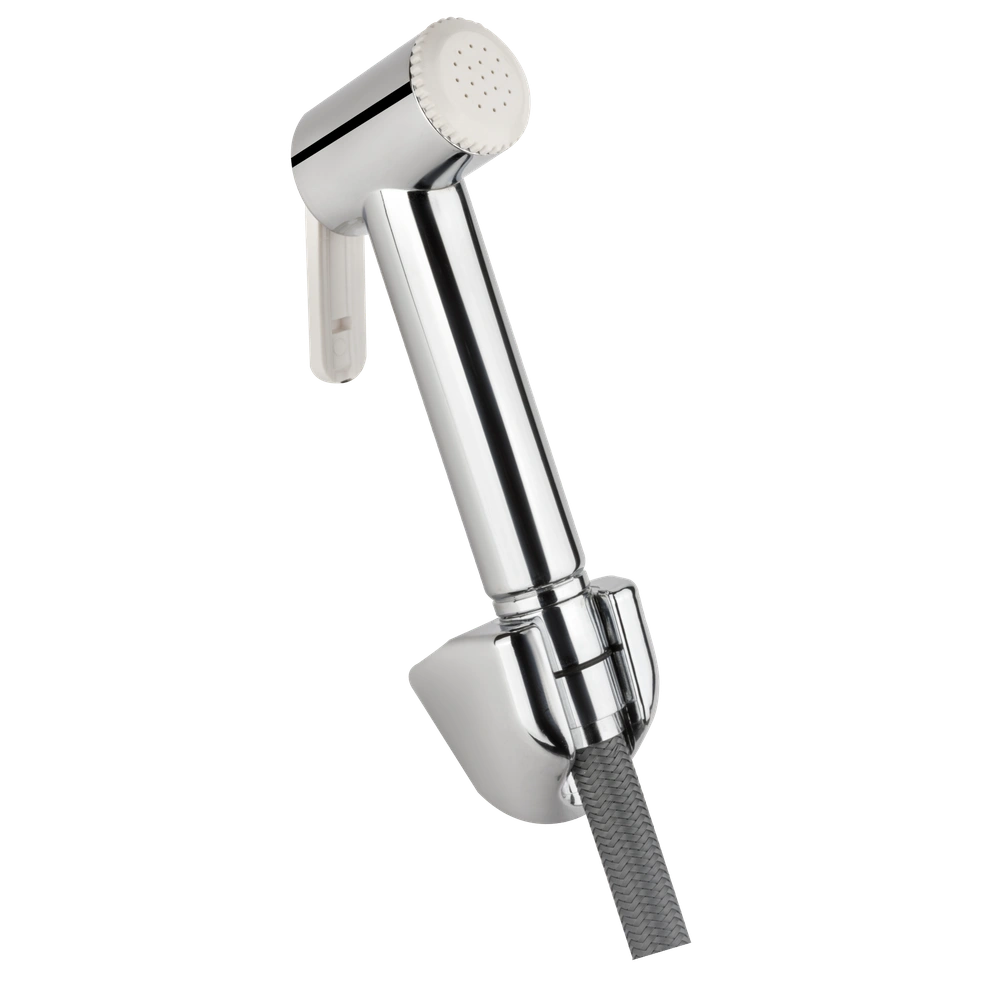 Lexus With 1 Mtr. S.S. Chain